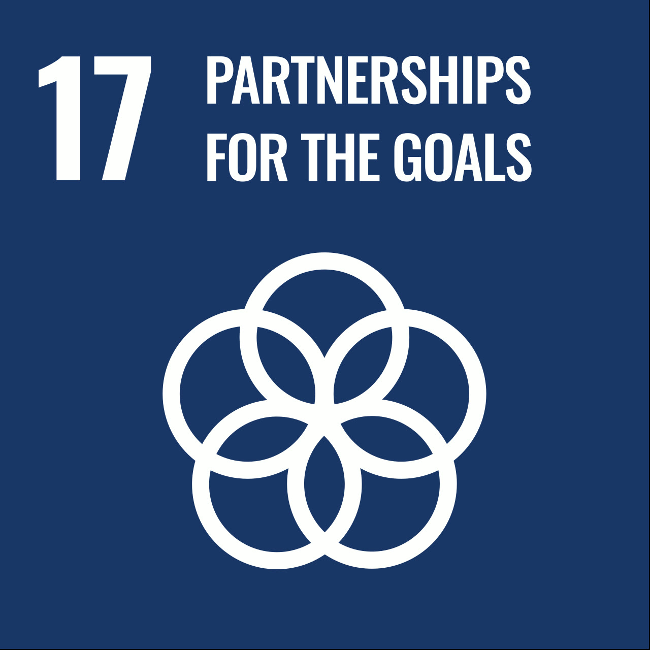 Sustainable Development Goal 17: Partnerships for the Goals