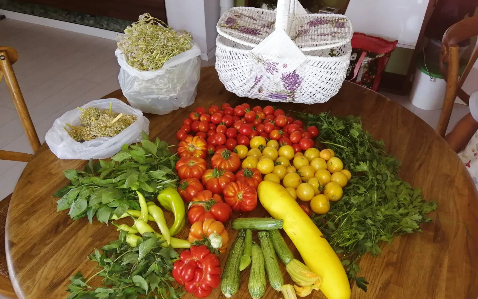 Food Security — real photography representing this cause