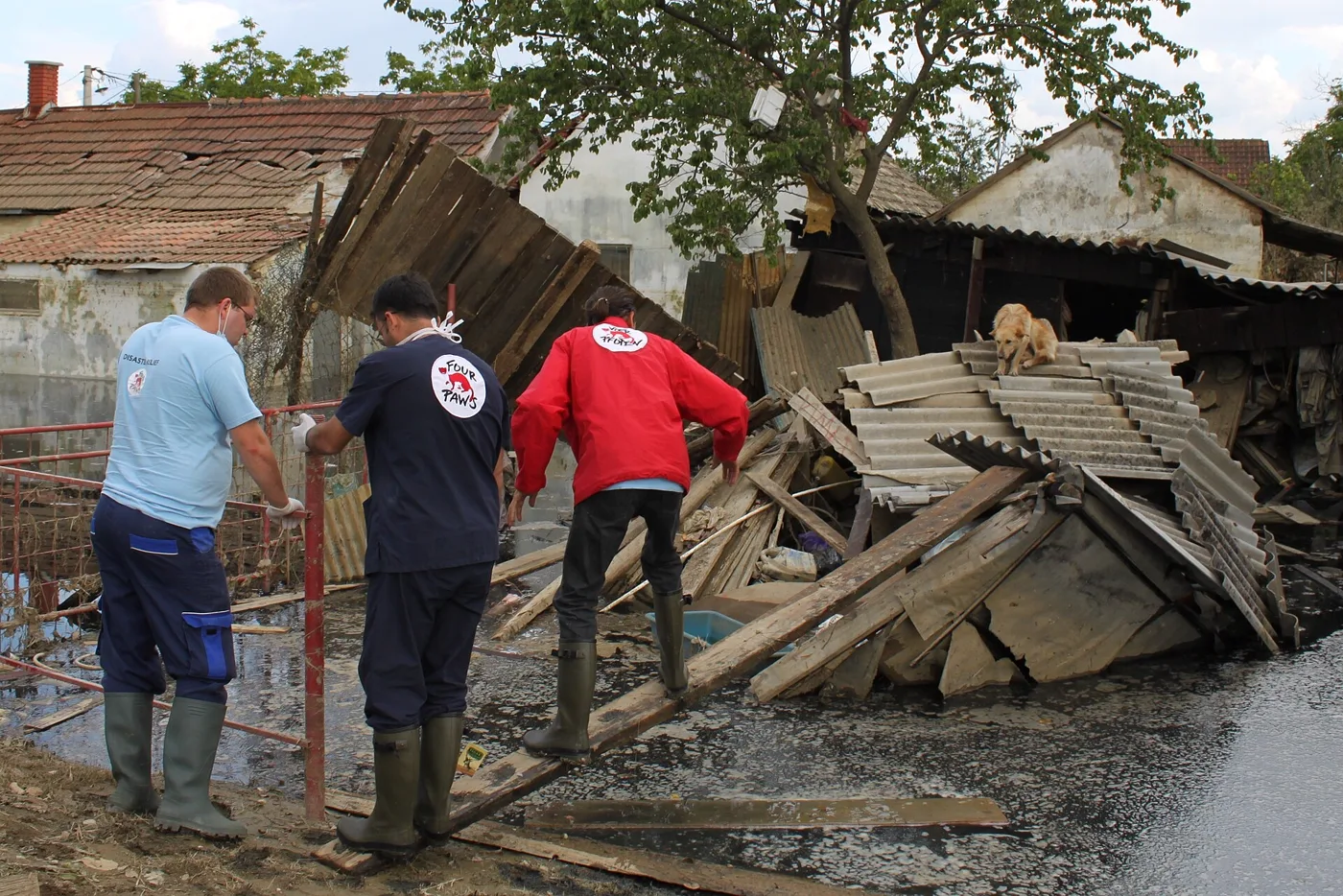 Disaster Relief — real photography representing this cause
