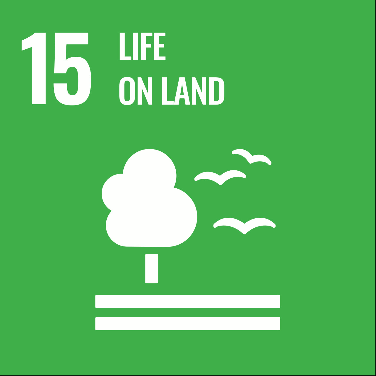 Sustainable Development Goal 15: Life on Land