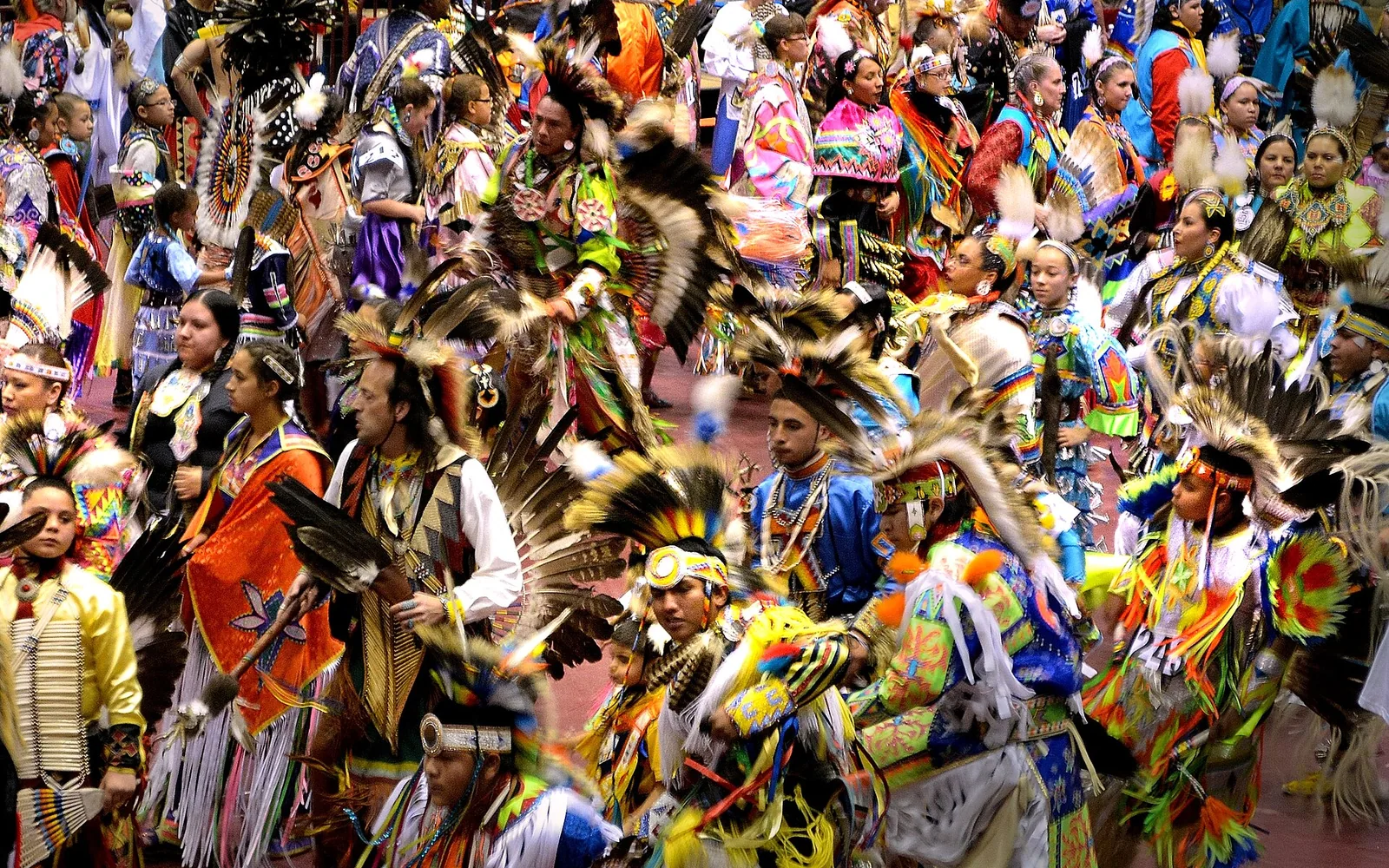 Indigenous Led — real photography representing this cause
