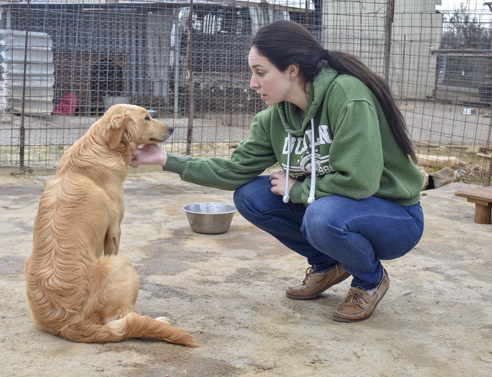 A volunteer caring for a rescued dog at an animal shelter