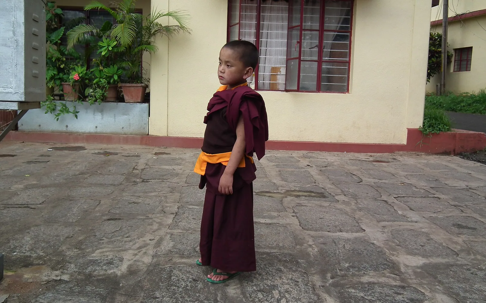 Buddhism — real photography representing this cause