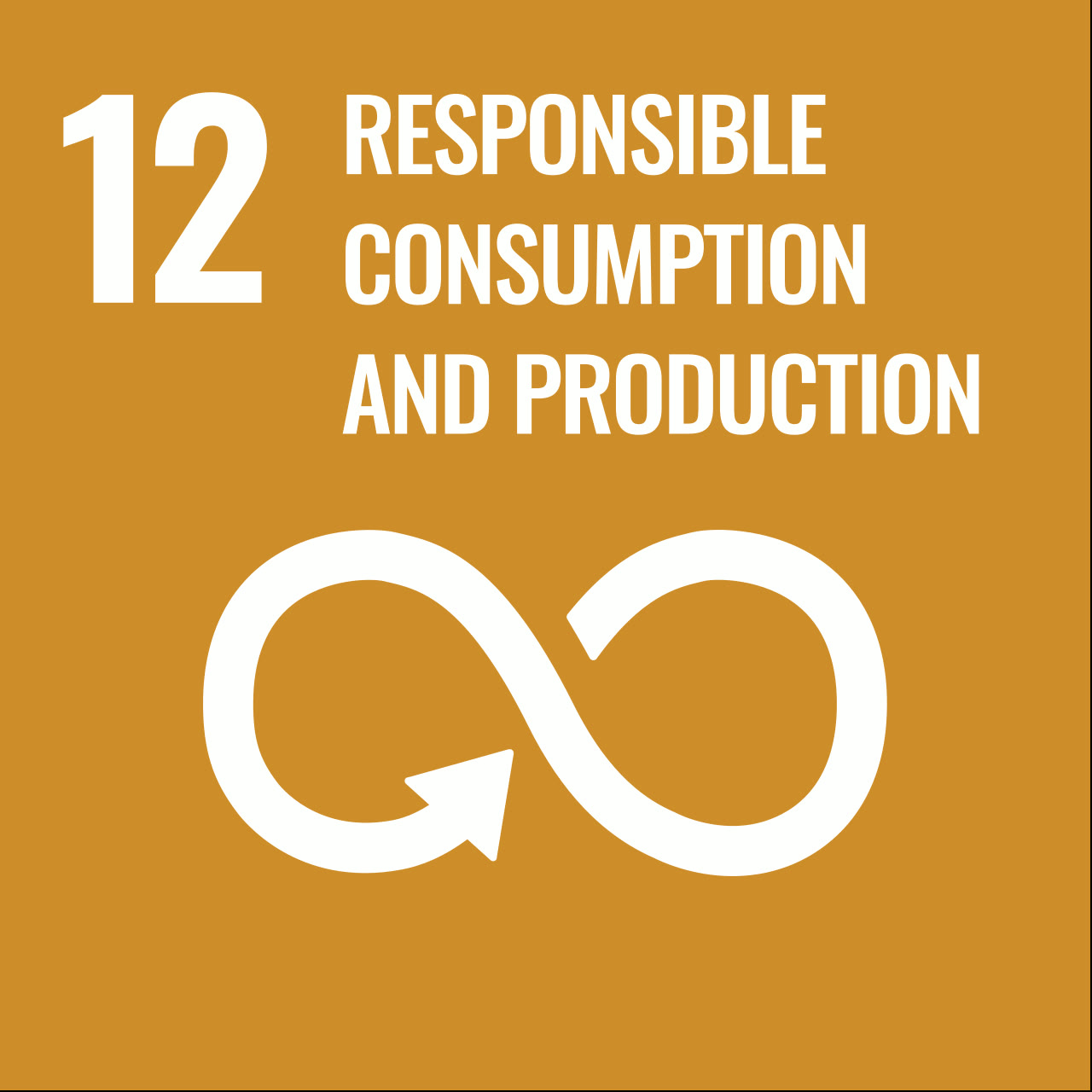 Sustainable Development Goal 12: Responsible Consumption and Production
