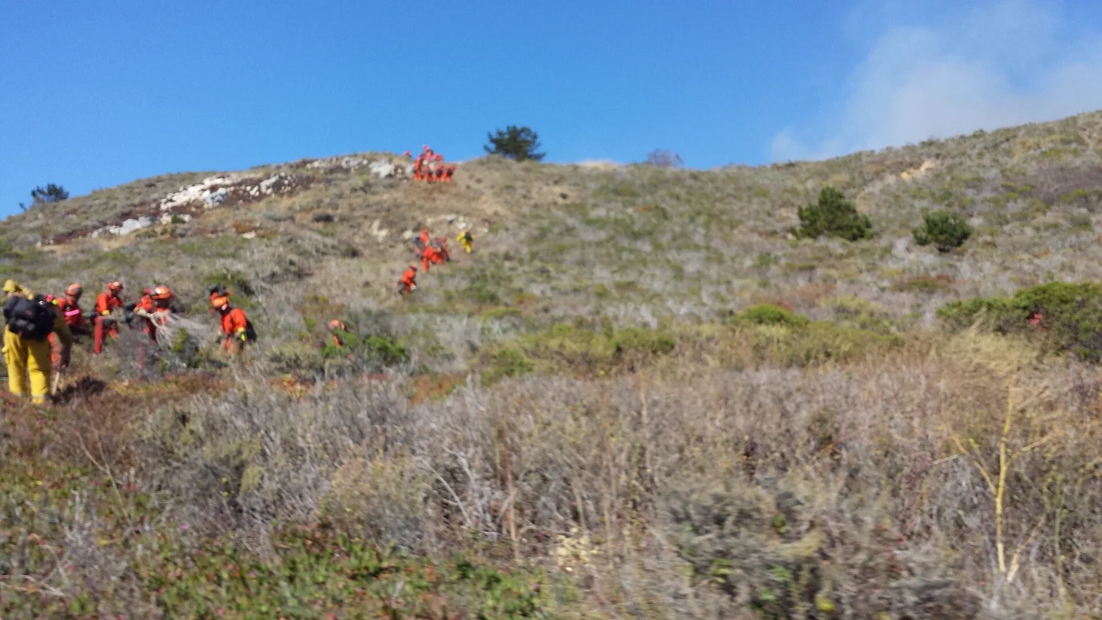 Wildland firefighters working a hillside during a wildfire response